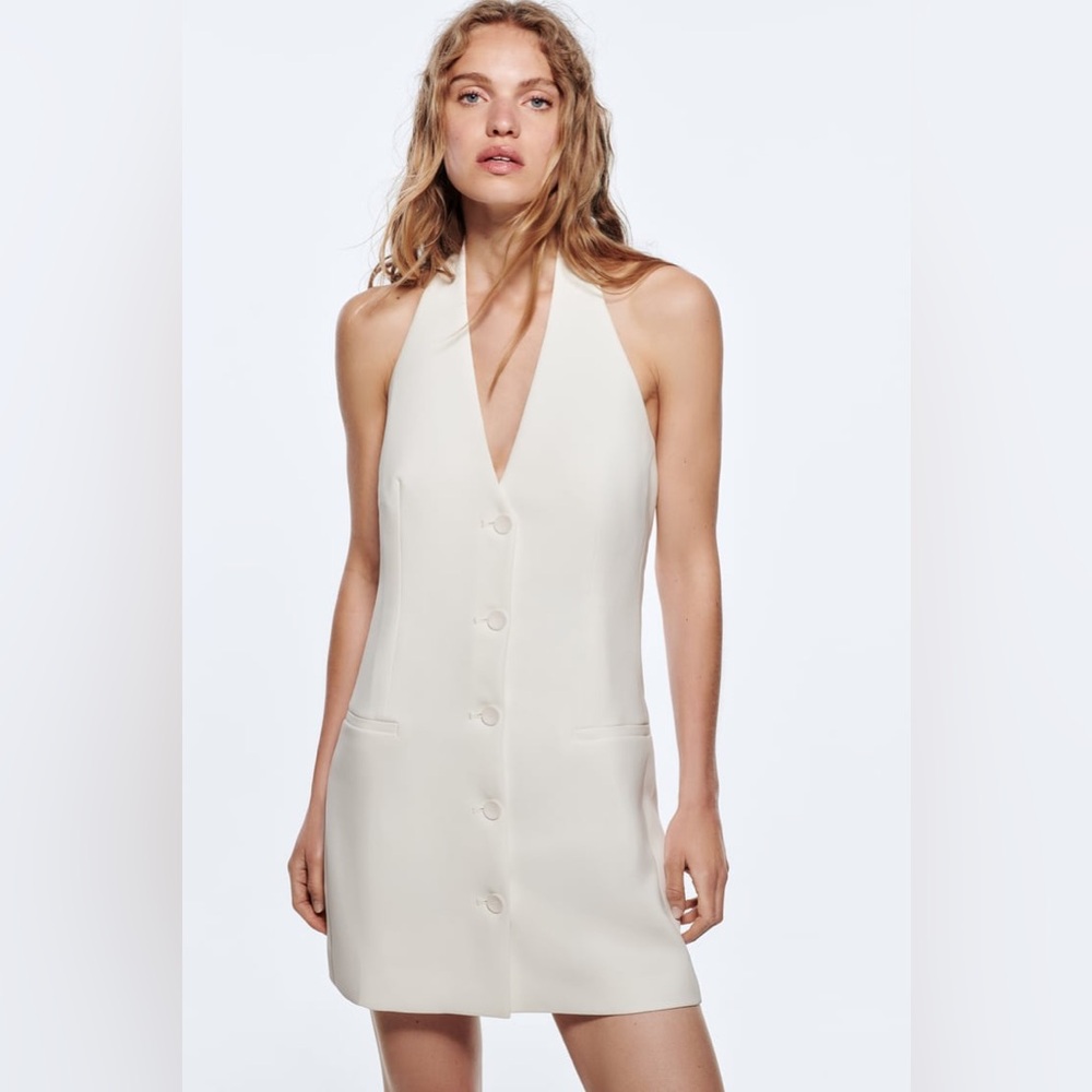 Zara Sleeveless Mini Dress | Size SM